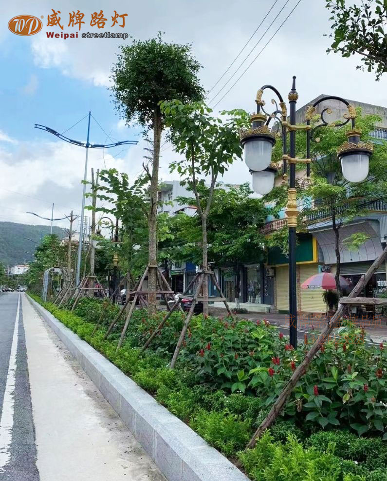 越南道路照明工程